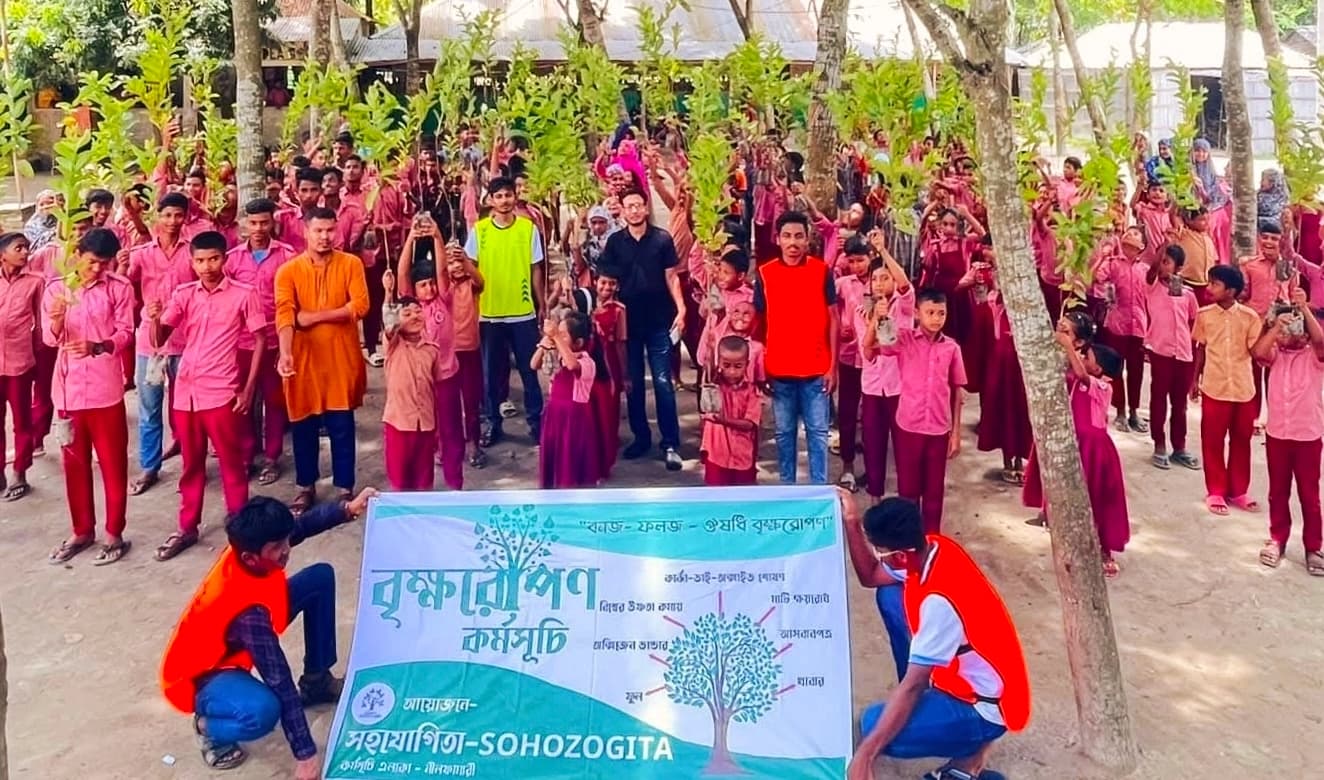 Tree Plantation - Protecting the Planet, Preserving Our Future